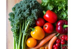 Fresh organic vegetables and herbs for healthy eating