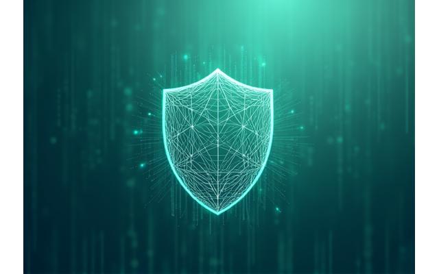 Abstract depiction of digital privacy and data protection with interwoven lines forming a shield, in the brand's primary and accent colors.