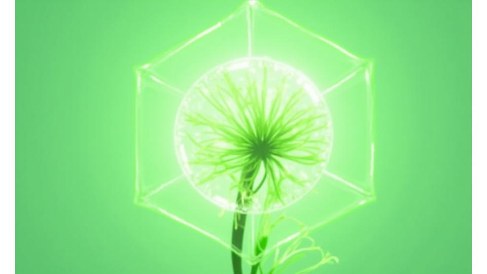 Abstract illustration of connected legal documents and a blooming plant, symbolizing protected growth